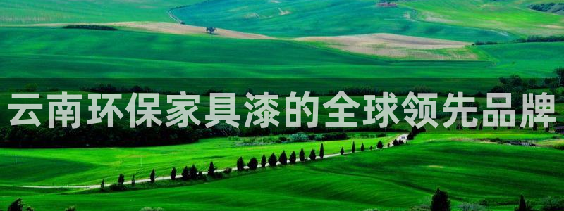 沐鸣手机客户端：云南环保家具漆的全球领先品牌
