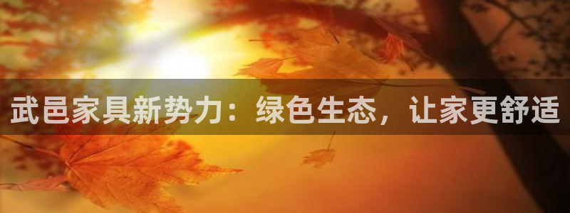 沐鸣平台代理怎么赚钱的：武邑家具新势力：绿色生态，让家更舒适