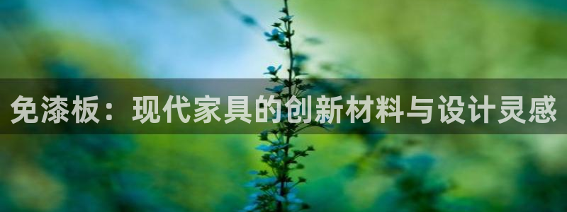 沐鸣平台没有了