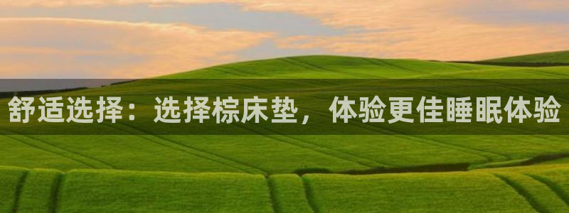 沐鸣手机客户端：舒适选择：选择棕床垫，体验更佳睡眠体验