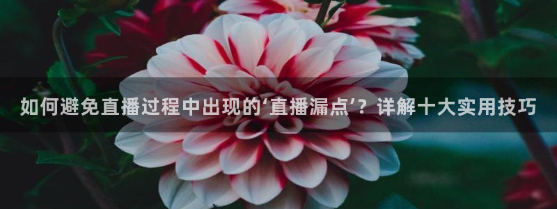 新闻图片