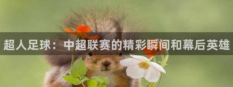 cba直播看球吧：超人足球：中超联赛的精彩瞬间和幕后英雄