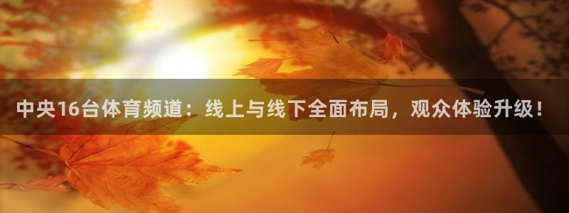 88看球吧直播：中央16台体育频道：线上与线下全面布局，观众体验升级！