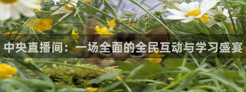 看球吧nba直播