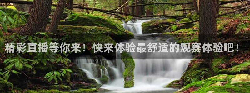 看球吧免费直播：精彩直播等你来！快来体验最舒适的观赛体验吧！