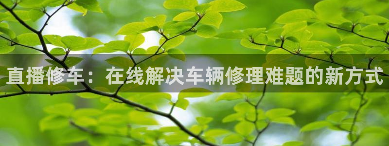 看球吧nba在线高清免费直播：直播修车：在线解决车辆修理难题的新方式