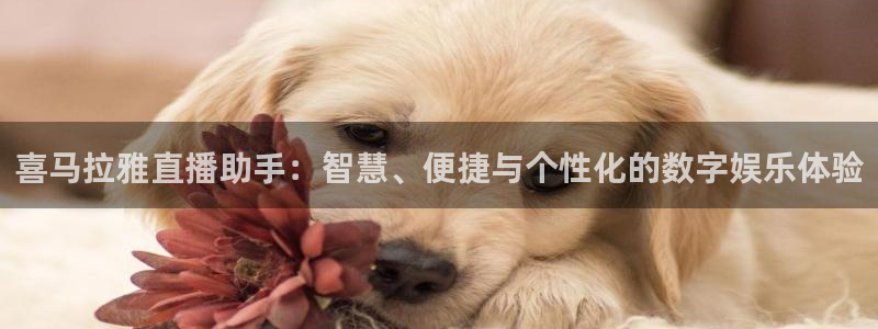 看球吧jrs低调直播：喜马拉雅直播助手：智慧、便捷与个性化的数字娱乐体验